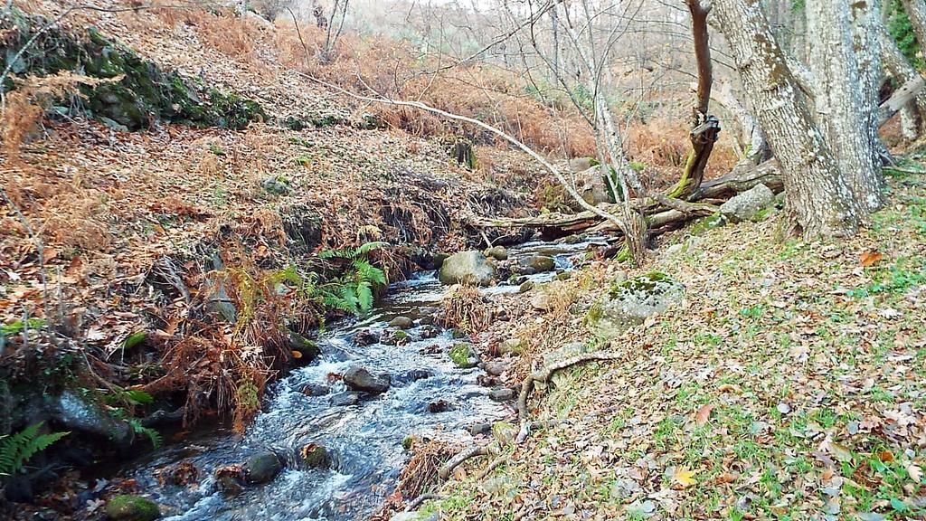 Hotel Rural El Camino Канделеда Экстерьер фото