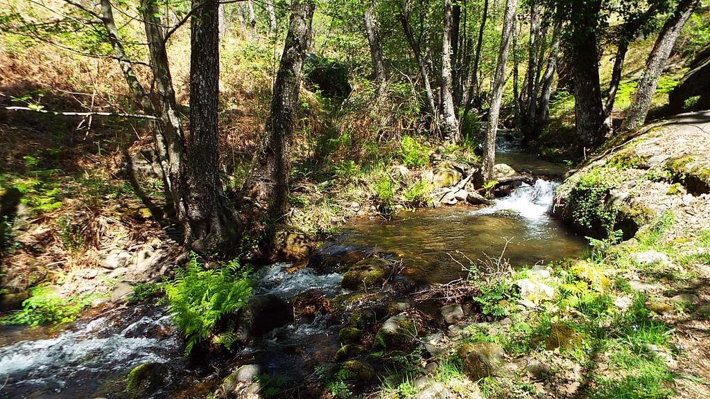Hotel Rural El Camino Канделеда Экстерьер фото